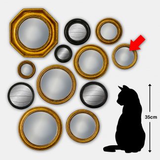 Small Gold Thin Framed Convex Mirror MK29