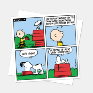 Snoopy square 'Sleeping is Important' card, snoop37