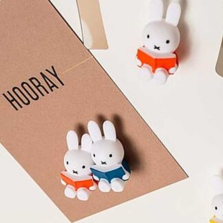 Miffy with Book set of Magnets